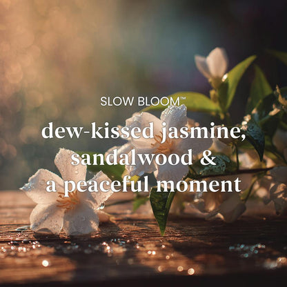 Slow Bloom - Original Jar Candles