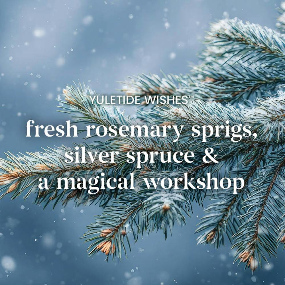 Yuletide Wishes - Original Jar Candles